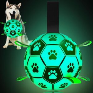 Glow in Dark Fluorescent Glowing Soccer Ball Customizable Different Types Sizes for Dog Training Ball OEM/ODM