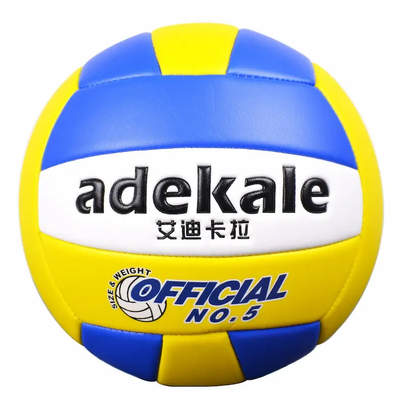Team Volleyballs