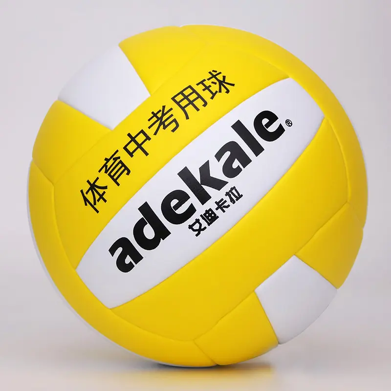 Volleyball match